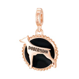 Rosato Charm Dobermann storie - STORIE - argento