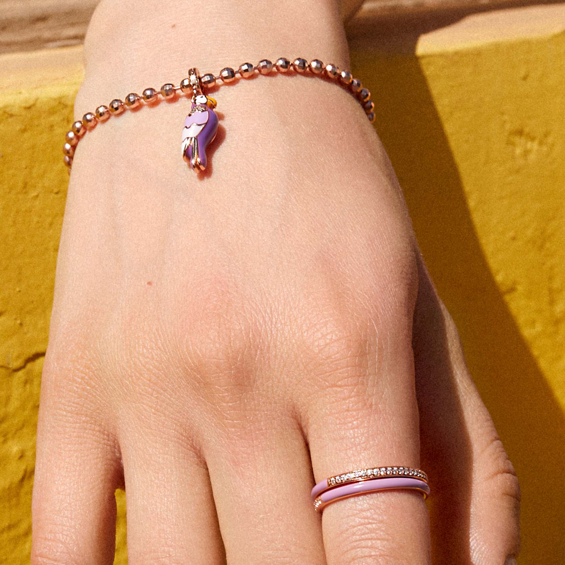 Rosato Charm Pappagallo storie - Vista 2