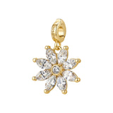 Rosato Charm Fiore storie - STORIE - ottone
