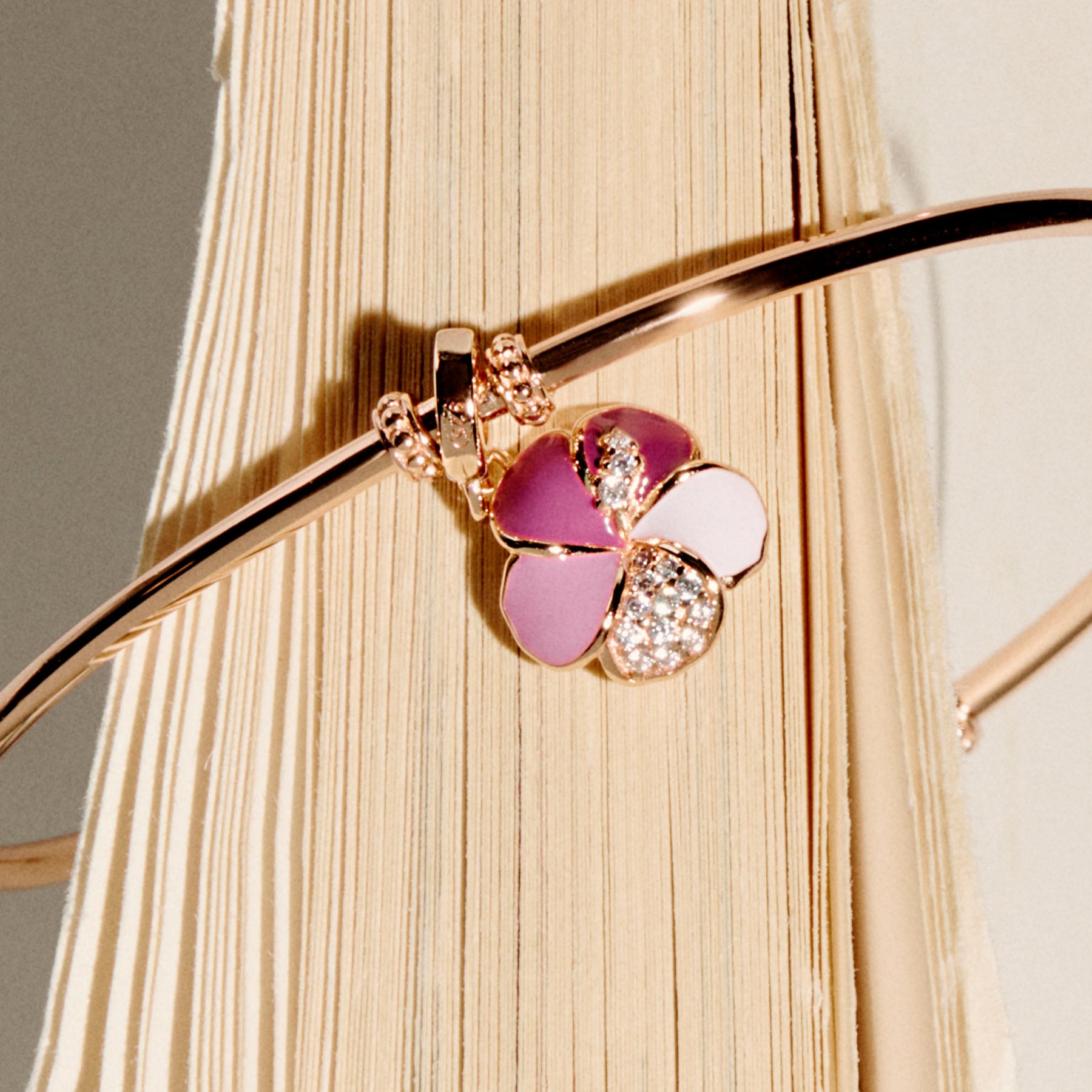 Rosato Charm Ibisco storie - Vista 2