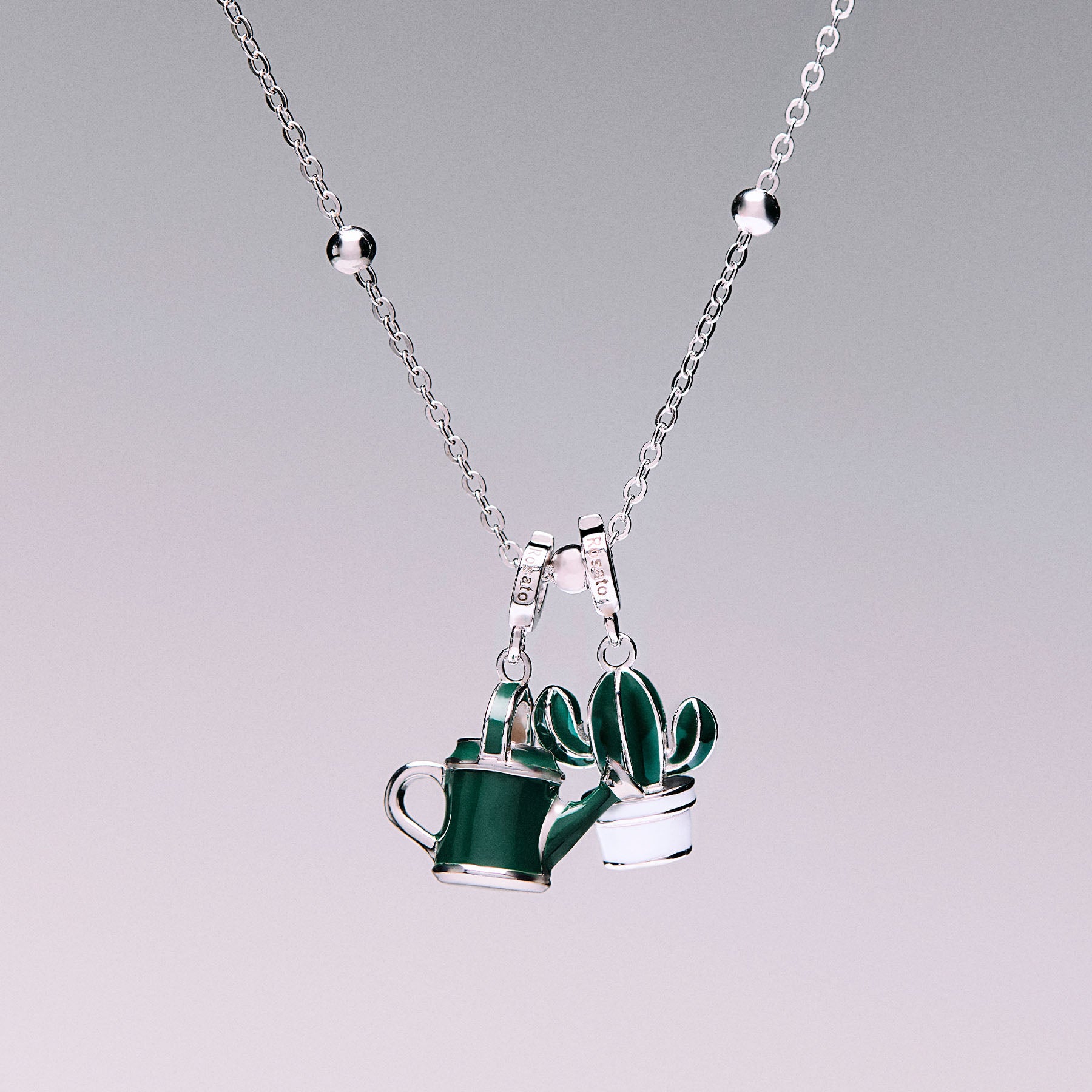 Rosato Charm Pianta grassa storie - Vista 2