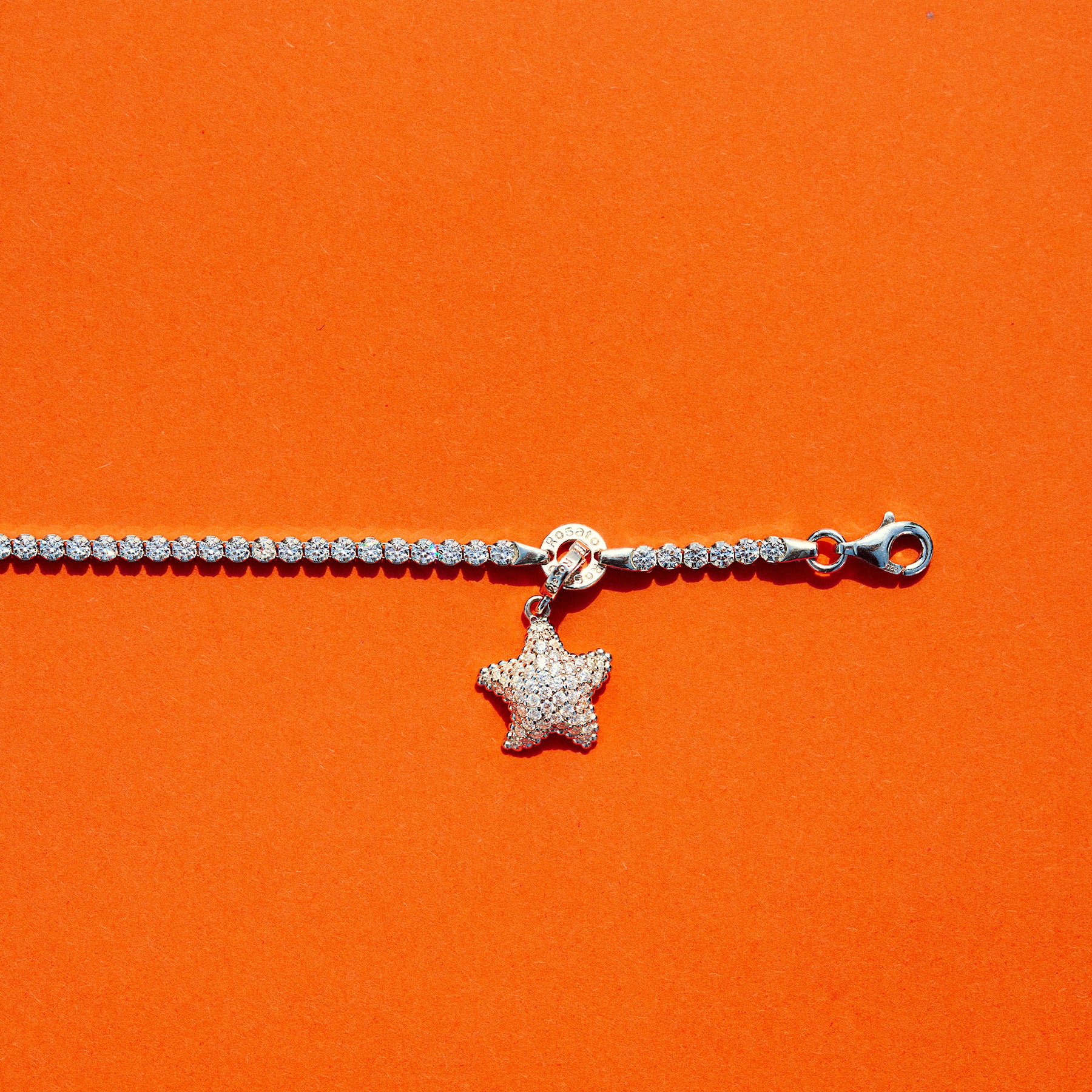 Rosato Charm Stella marina storie - Vista 2