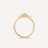 Rosato Anello azzurra - Vista 3