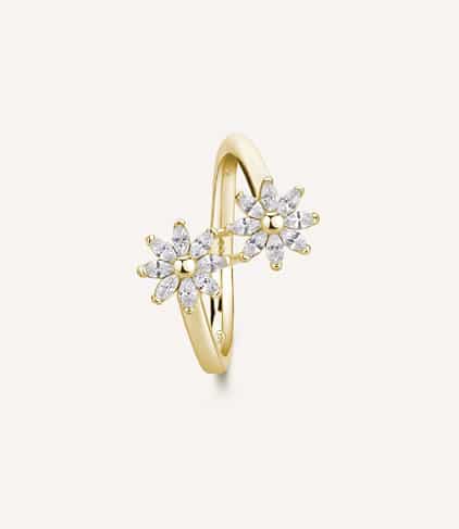 anello gaia