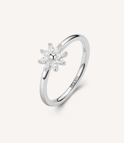 anello gaia