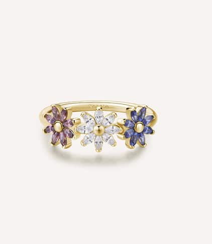 anello gaia